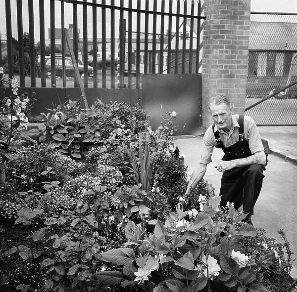 Teesside industry in Britain in Bloom competition. 1971