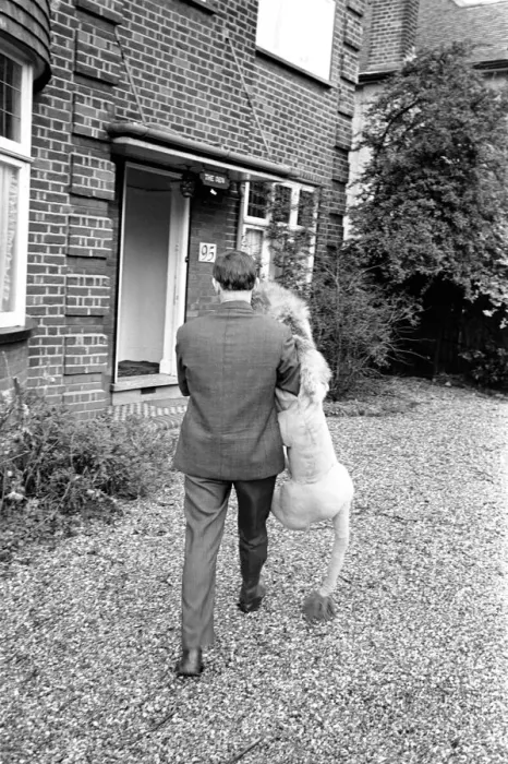 Framed Print : Terry Hall with Lenny the lion seen here at home. 1960 A1226-010 Framed Print : Terry Hall with Lenny the lion seen here at home. 1960 A1226-010