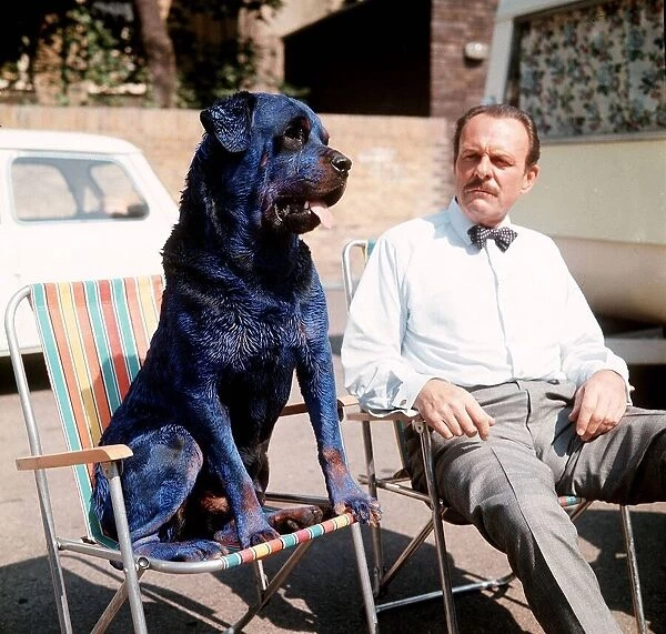Terry Thomas with Rottweller Dog painted blue for the film Arthur