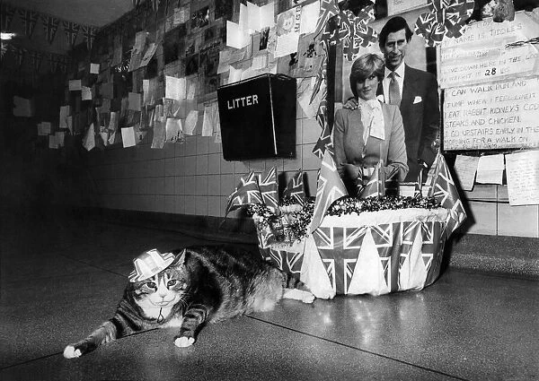 Tiddles at Paddington. Tiddles shows the flag. If a cat can look at a Queen Tiddles here