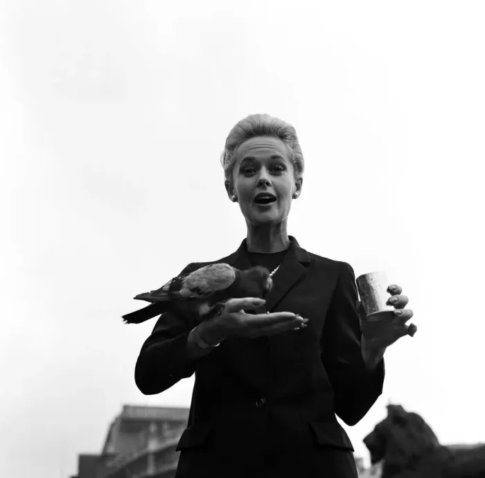 Framed Print : Tippi Hendren Actress star of the film The Birds Tippi Hedren Framed Print : Tippi Hendren Actress star of the film The Birds Tippi Hedren