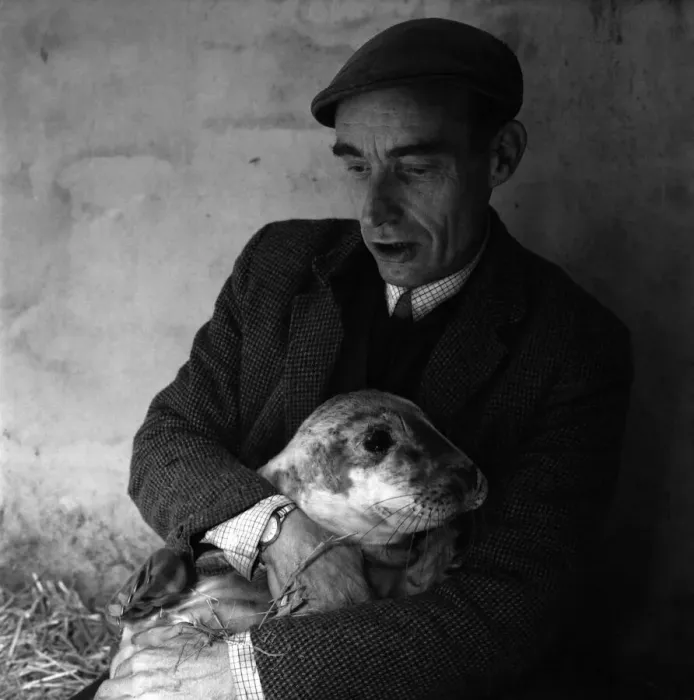 Framed Print : Todays pictures of Ken Jones of St. Agnes, Cornwall with seals he has recently
