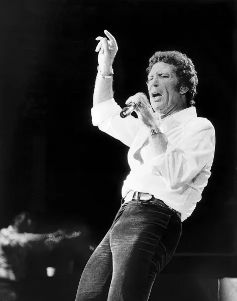 https://shop.memorylane.co.uk/p/767/tom-jones-singer-concert-21530788.jpg.webp