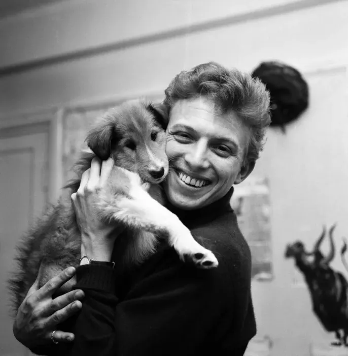 Framed Print : Tommy Steele is seen photographed with a birthday present from his wife Framed Print : Tommy Steele is seen photographed with a birthday present from his wife