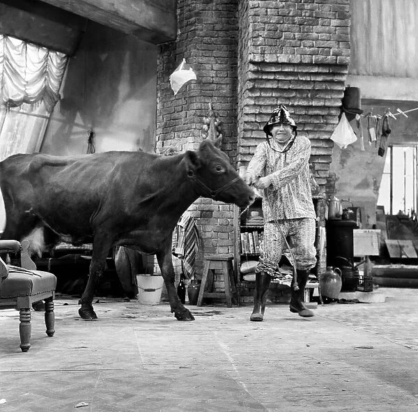Tony Hancock with a cow on the set of The Rebel at Elstree. 2nd August 1960