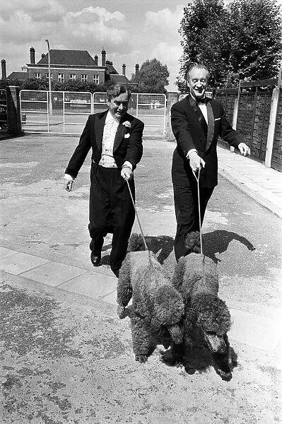 Tony Hancock with George Sanders and dogs. 12th August 1960