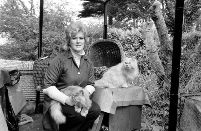 Framed Print : Torbay cat hotel girl Mrs. Marlene Harris in the garden of the hotels royal suite Framed Print : Torbay cat hotel girl Mrs. Marlene Harris in the garden of the hotels royal suite