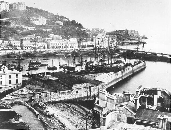 Torquay Harbour Circa 1880