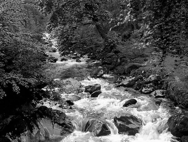 Torrent Walk near Dolgelly North Wales. The River Edog May 1932