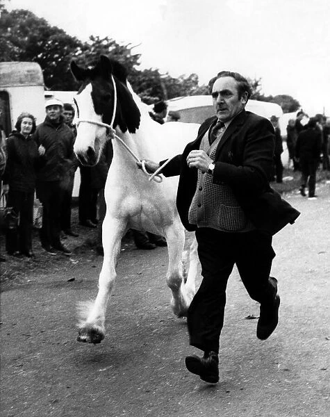 This trader shows off his horse to potential buyers at the Applby Horse Fair in