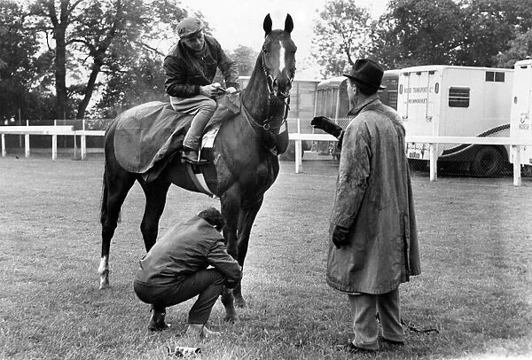 Trainer M. E. Pollet inspecting his Derby Favourite Seabird II after its early morning
