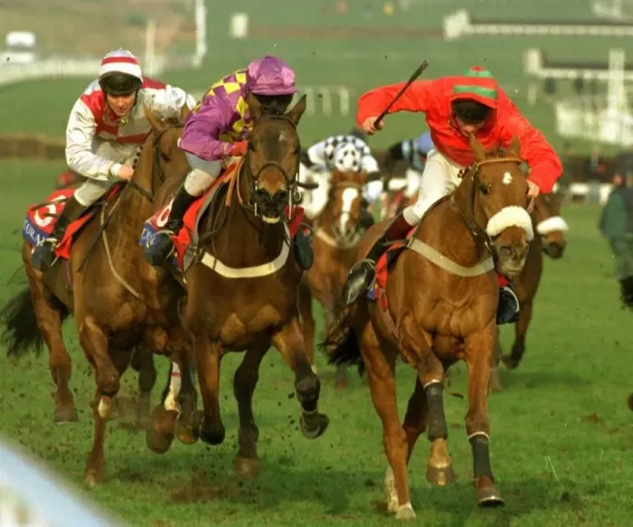 Framed Print : Trainglot right wins from Treasure Again mauve and yellow check colours in the Coral Cup Framed Print : Trainglot right wins from Treasure Again mauve and yellow check colours in the Coral Cup
