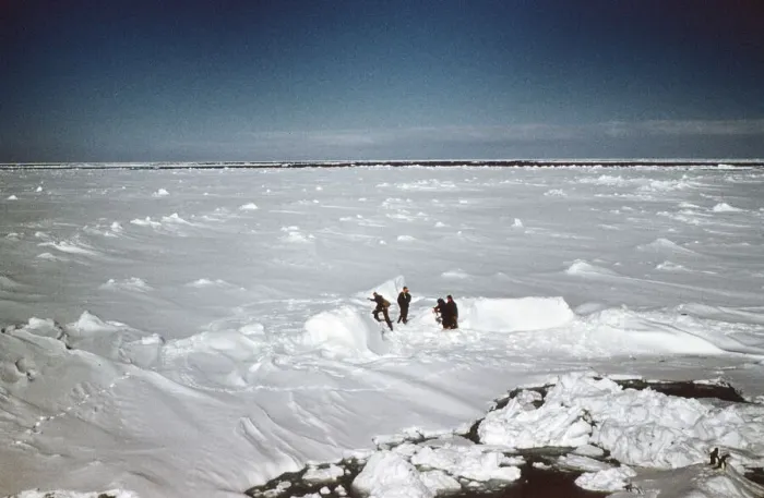 Framed Print : Trans-Antarctic Expedtion 1956. Explorers meet at South Pole Framed Print : Trans-Antarctic Expedtion 1956. Explorers meet at South Pole