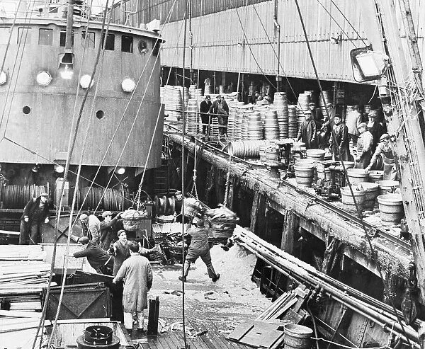 The trawler Stella Leonis seen here offloading her catch of cod at St Andrews Dock