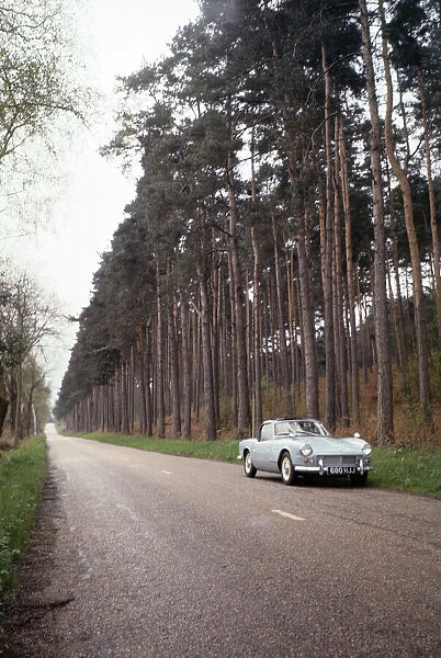 A Triumph Spitfire on a woodland road at Seale in Surrey. April 1964