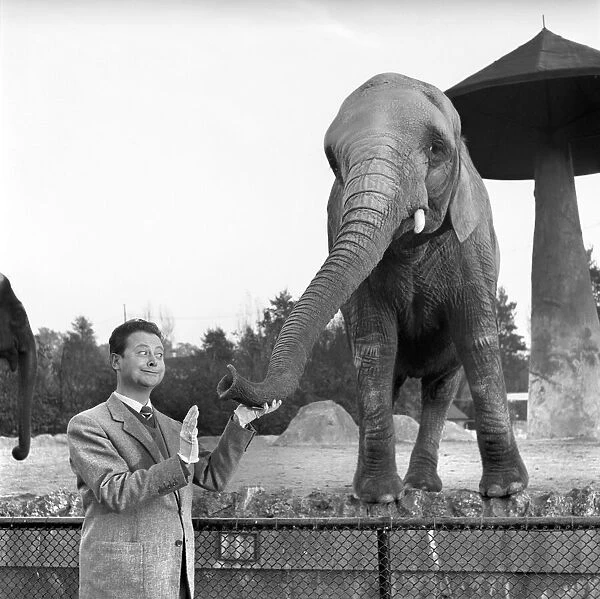 Trunk Call Humour: Devek Roy seen here feeding the elephants at the Zoo. August 1954 A267