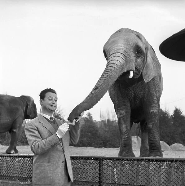 Trunk Call Humour: Devek Roy seen here feeding the elephants at the Zoo
