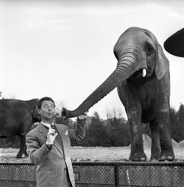 Trunk Call Humour: Devek Roy seen here feeding the elephants at the Zoo