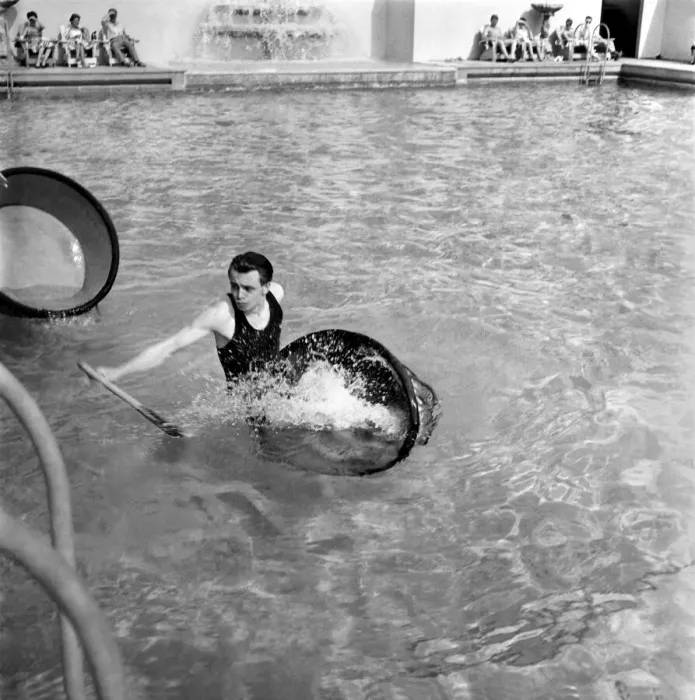 Framed Print : Tub racing at the Brighton Ocean Hotel Lido. The tub racing competition was sponsored by