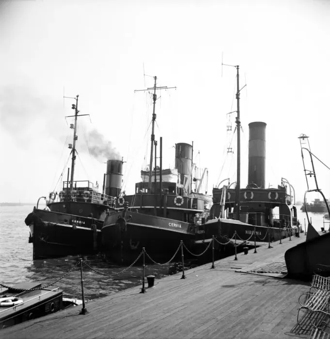 Framed Print : The Tug boats tied up alongside dock. June 1952 C3046-001 Framed Print : The Tug boats tied up alongside dock. June 1952 C3046-001