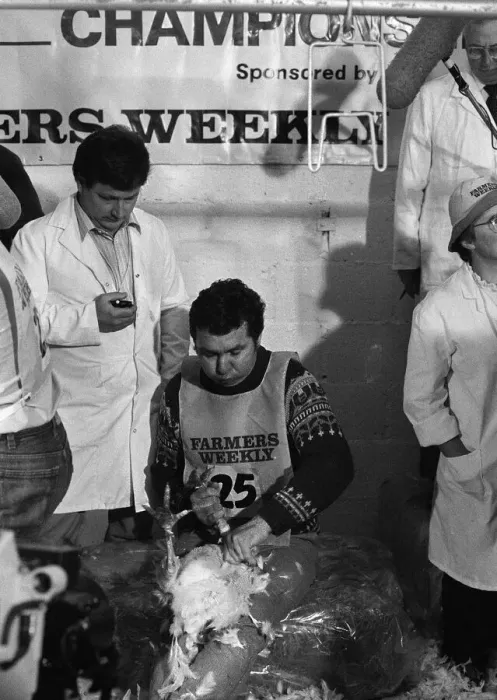Framed Print : Turkey plucking championship at Henley. December 1984 Framed Print : Turkey plucking championship at Henley. December 1984