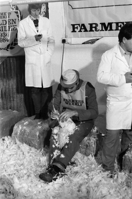 Framed Print : Turkey plucking championship at Henley. December 1984 Framed Print : Turkey plucking championship at Henley. December 1984