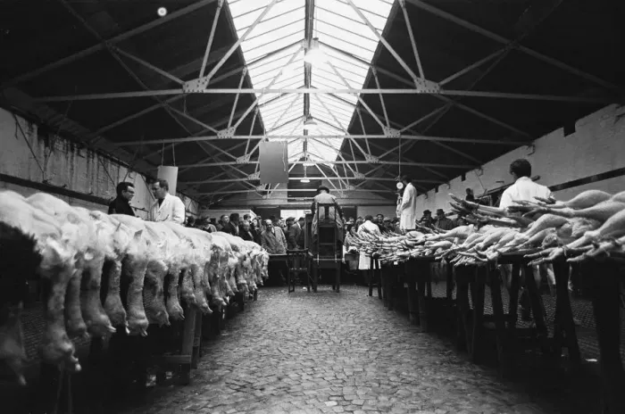 Framed Print : Turkeys waiting to go under the hammer at the Christmas Turkey Auction at Reading Cattle Framed Print : Turkeys waiting to go under the hammer at the Christmas Turkey Auction at Reading Cattle