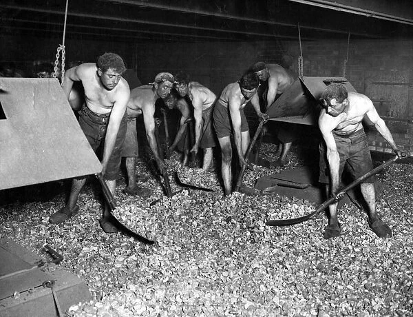 Turning the cut up chicory drying in a hot chamber. 23rd October 1932