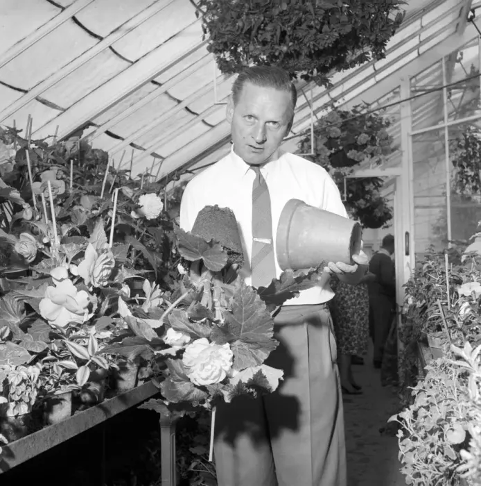 Framed Print : TV Gardener Percy Thrower - seen here at home. 1966 A968-008 Framed Print : TV Gardener Percy Thrower - seen here at home. 1966 A968-008