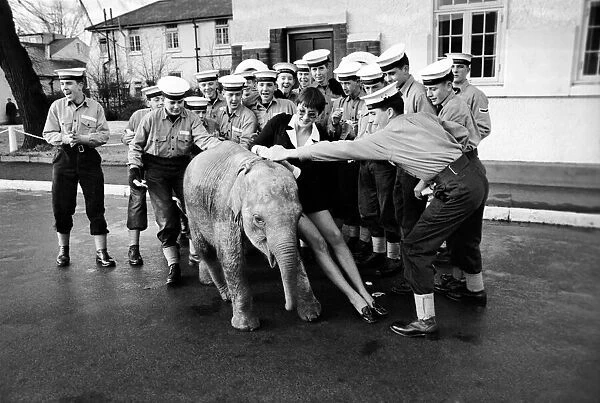 'Twiggy'the baby elephant was half an hour late for her appointment to