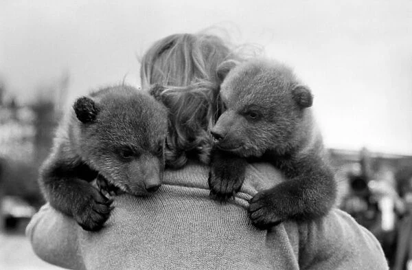 Twin Brown Bears. March 1975 75-01620-002