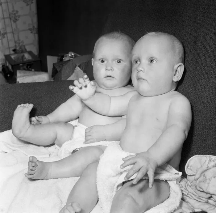 Framed Print : Twins Ian and Robert Kearns who both weighed eight pounds two ounces when they were born Framed Print : Twins Ian and Robert Kearns who both weighed eight pounds two ounces when they were born