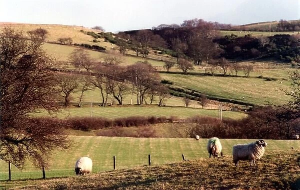 A typical British farming scene