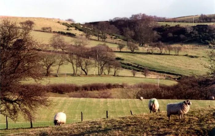 Framed Print : A typical British farming scene Framed Print : A typical British farming scene