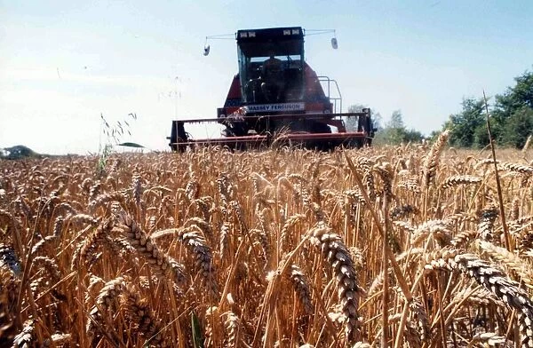 A typical countryside picture showing harvest time and a combine harvester working in a