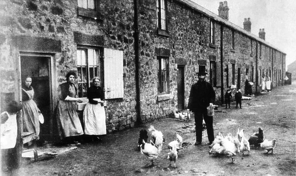 A typical pit village street at High Rows, South Moor in 1900