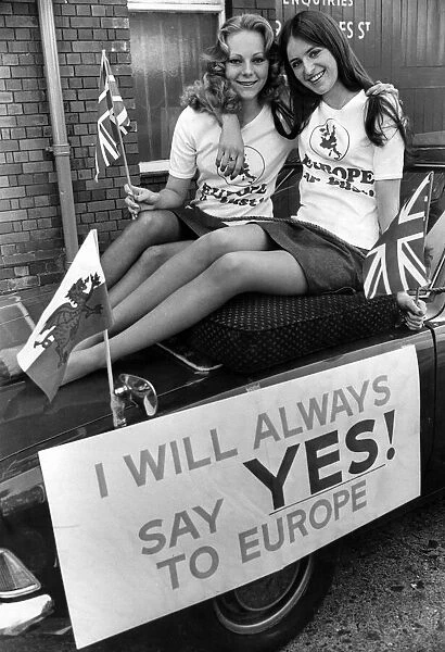 UK European Communities Membership Referendum, 1975, also known as the Common Market