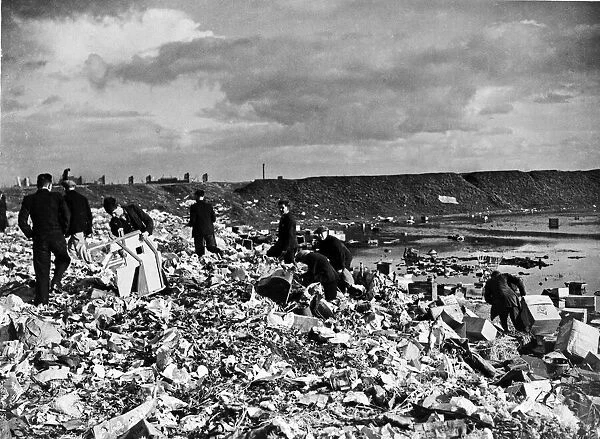 The unemployed of Cardiff pick over the rubbish tip close to the city. 19th October 1938