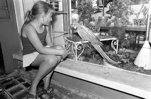Unusual: Animals: 'Trapped Parrot'. Little Ann Grange aged 10 sits