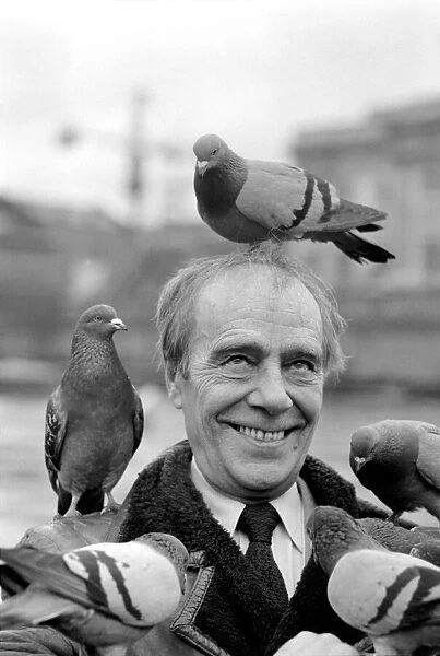 Unusual  /  Humour  /  Animals  /  Birds: Max Wall. Man with pigeons on head. January 1975 75-00393