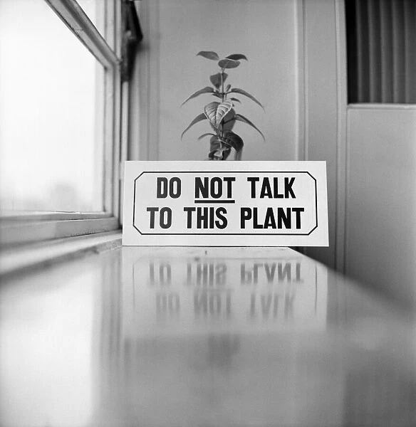Unusual: Humour: Model Angela Jay and plant. March 1975 75-01424-008