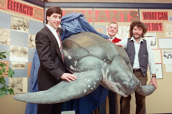 Unveiling the glass fibre replica of a giant turtle at the Hancock Museum, Left to right