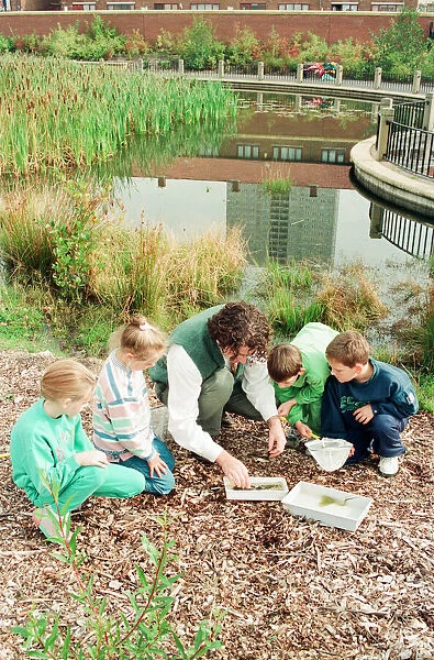 Urban Nature Reserve, Everton, Merseyside, 16th September 1994