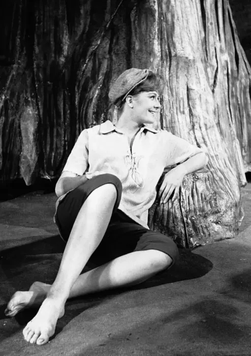 Framed Print : Vanessa Redgrave as Rosalind in the RSC production of As You Like It Framed Print : Vanessa Redgrave as Rosalind in the RSC production of As You Like It