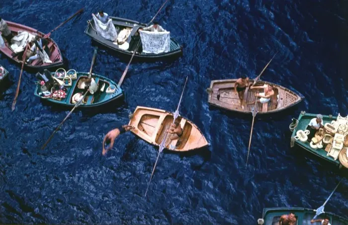 Framed Print : Venders selling their wares from small boats in the harbour at Funchal, Madeira Framed Print : Venders selling their wares from small boats in the harbour at Funchal, Madeira