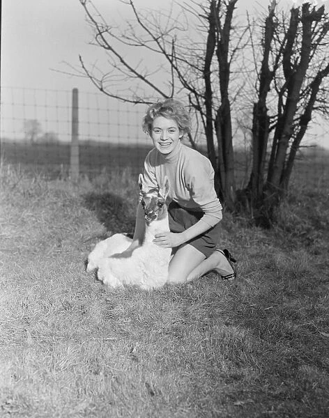 Veronica Hurst at Whipsnade Zoo 2  /  3  /  1952 C1072  /  4