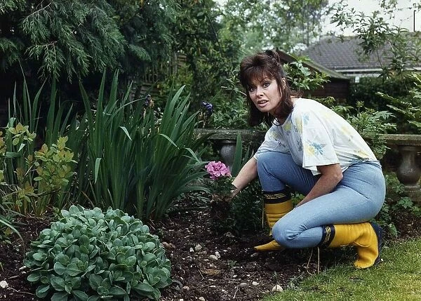 Vicki MIchelle in her garden pruning her flowers June 1988