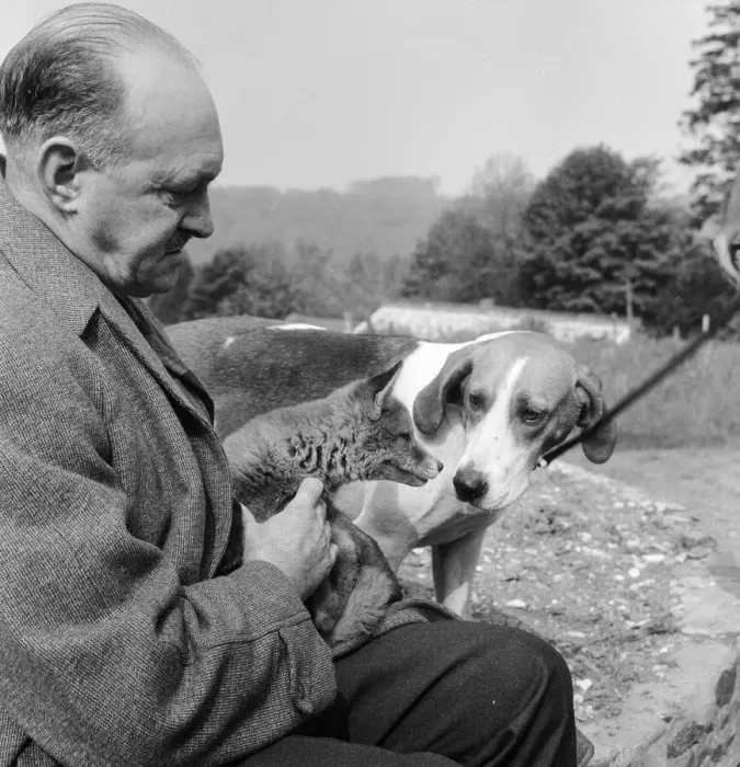 Framed Print : Vicky the fox cub and Sheba the fox hound dog at Barons Down near Dulverton in Somerset