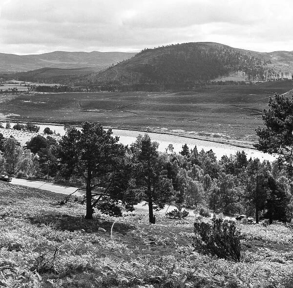 View of the Deeside Country, Aberdeenshire. 28  /  08  /  1959
