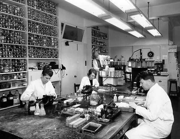 A view of the Histology Department of the Cardiff Royal Infirmary. February 1966